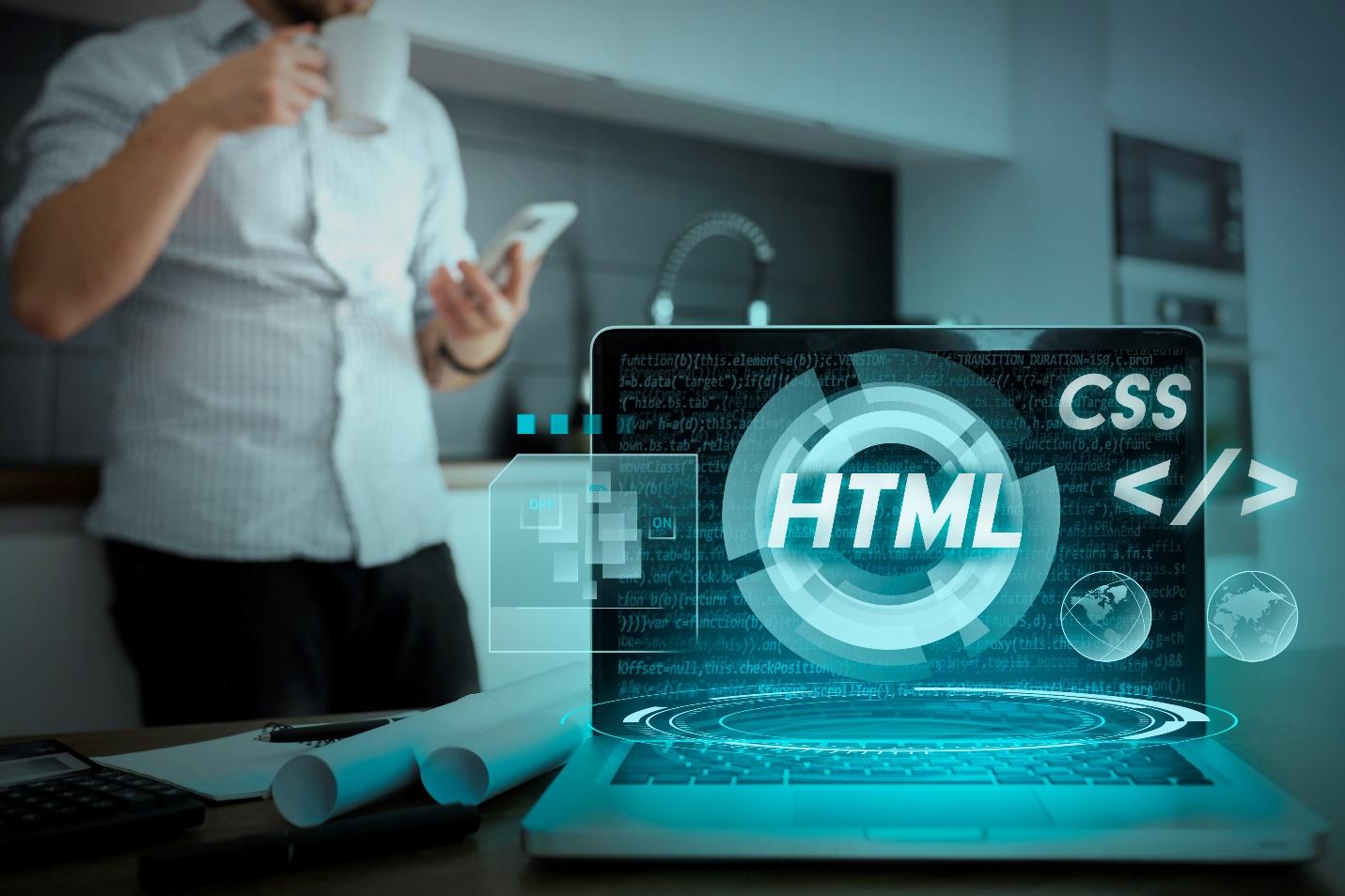 Web Application Development Services